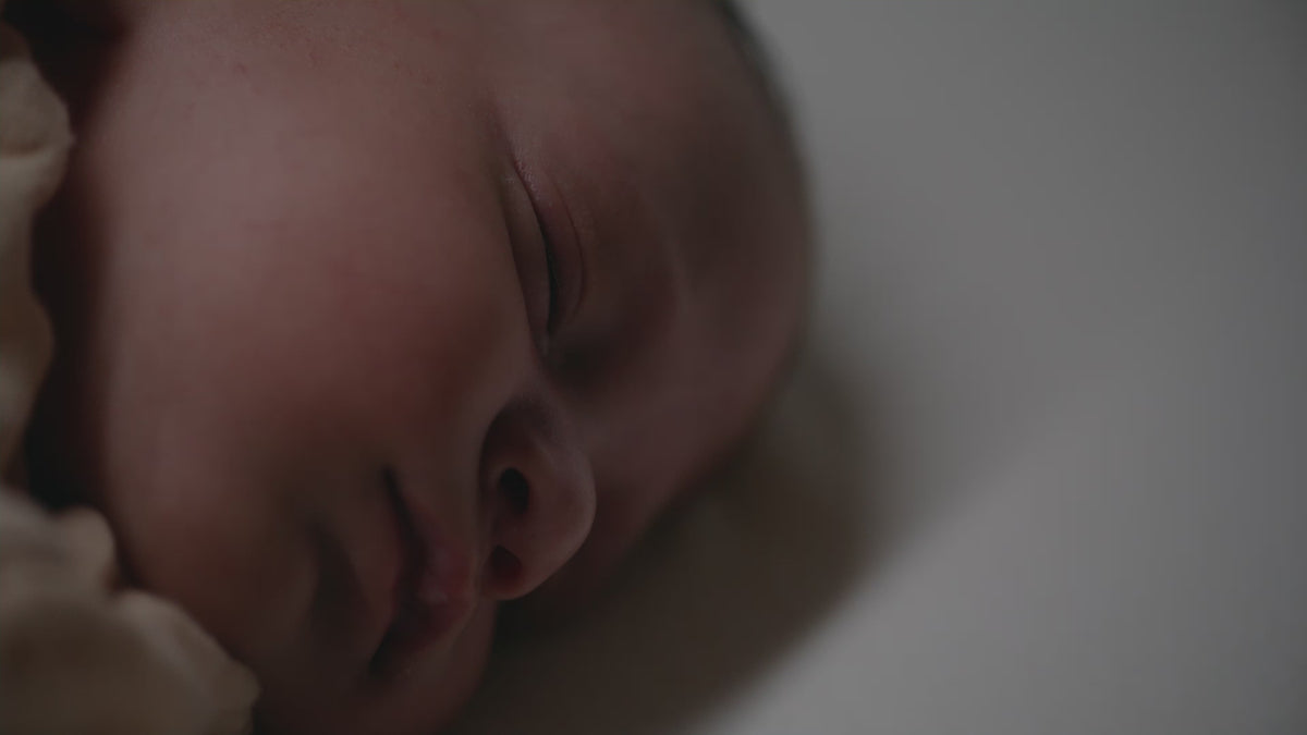 Voir la caméra de surveillance pour bébé Pro 360°